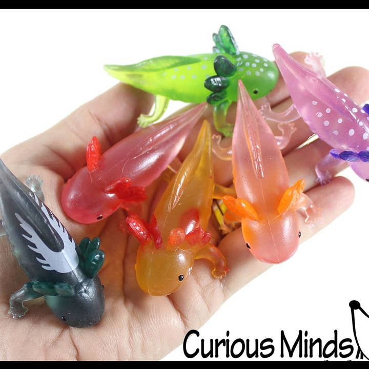1 sac de 12 figurines réalistes d'axolotls colorés de 2,5 pouces pour la vente par Curious Minds Toys
