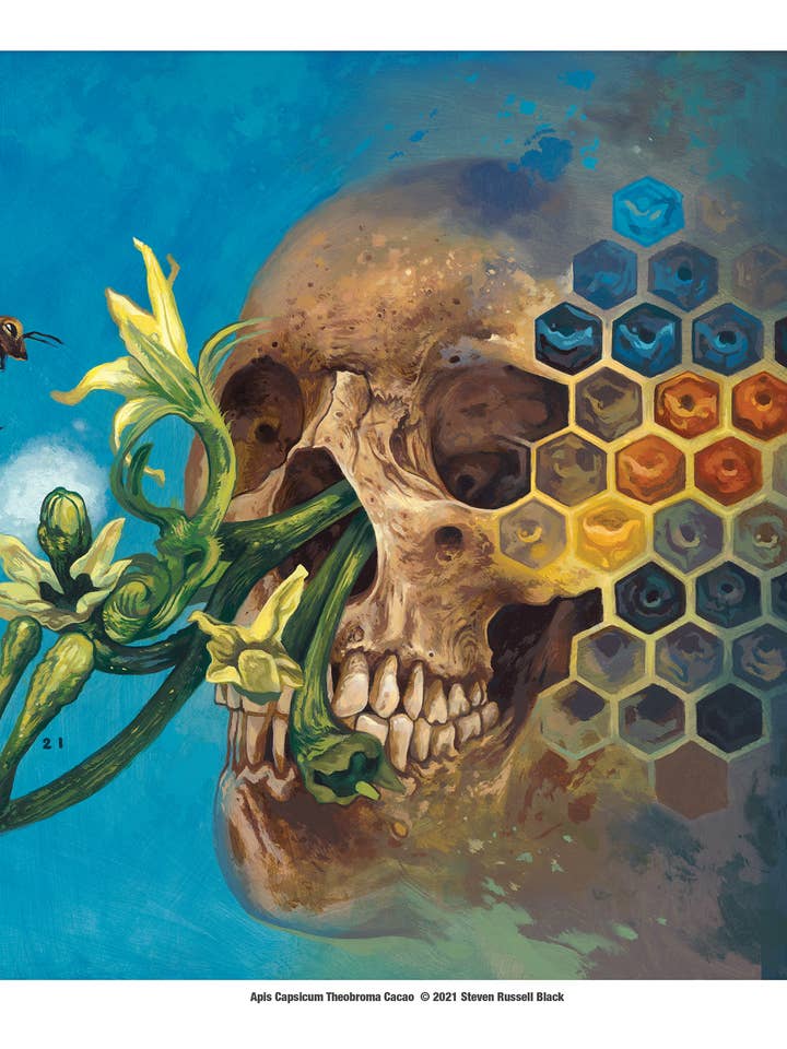 Honey Hab Print for wholesale by Black Market