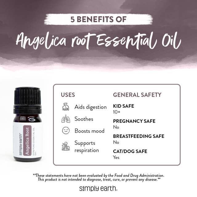 Simply Earth - Wholesale Essential Oil - Angelica Root Essential Oil 5ml3