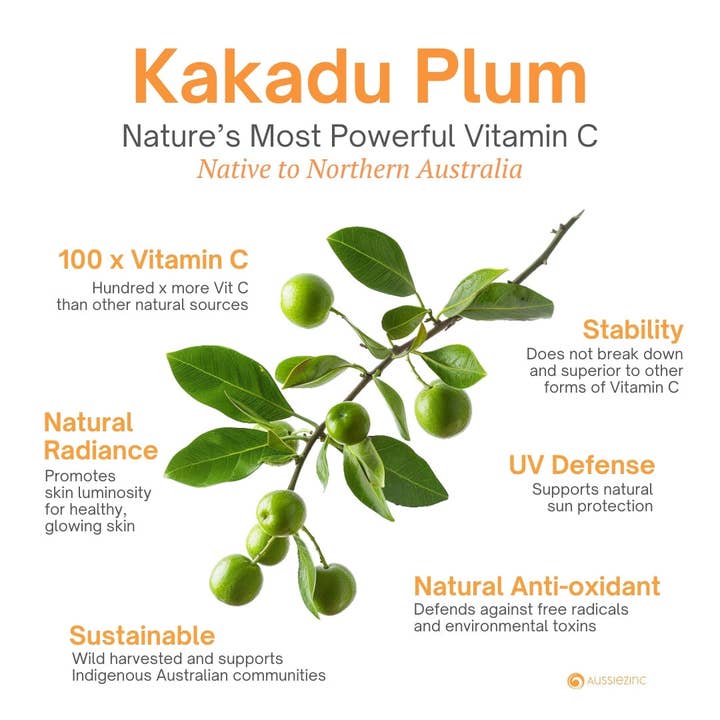 AussieZinc Mineral Sunscreen - Wholesale Sunscreen - Anti-Aging Vitamin C Daily Glow SPF50+ Organic Mineral Zinc Sunscreen4