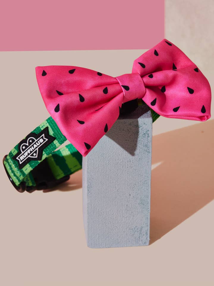 What-A-Melon Collar & Bowtie for wholesale by Ruffhaus NYC