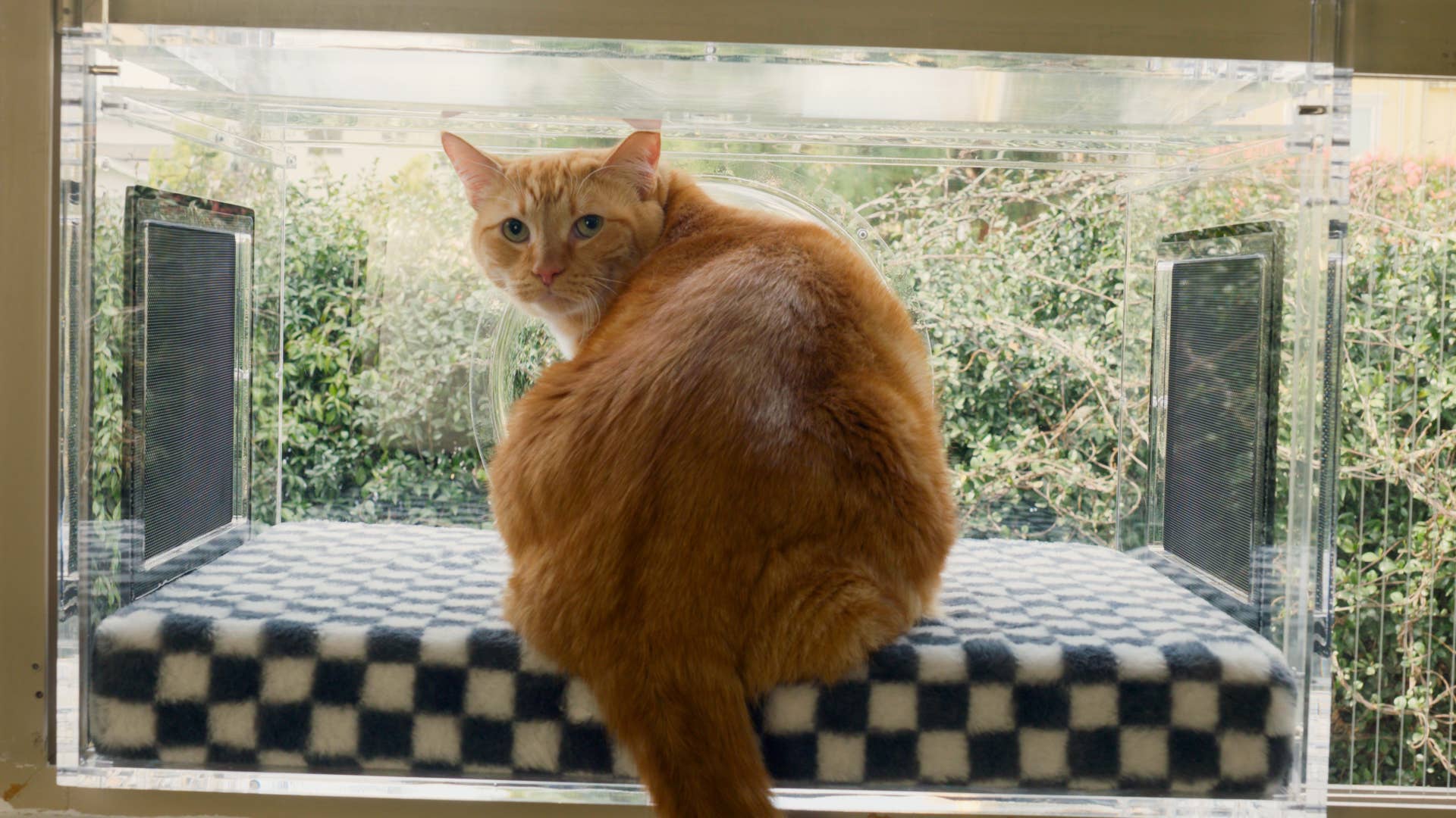 The Purrgola - Wholesale Pet Bed - Cat - The Purrgola6