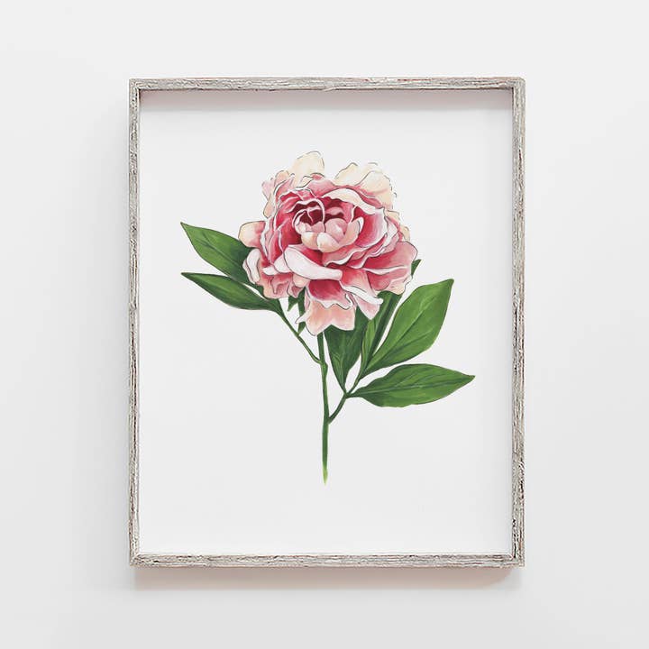 Pink Peony Flower Art Print for wholesale by JesMarried