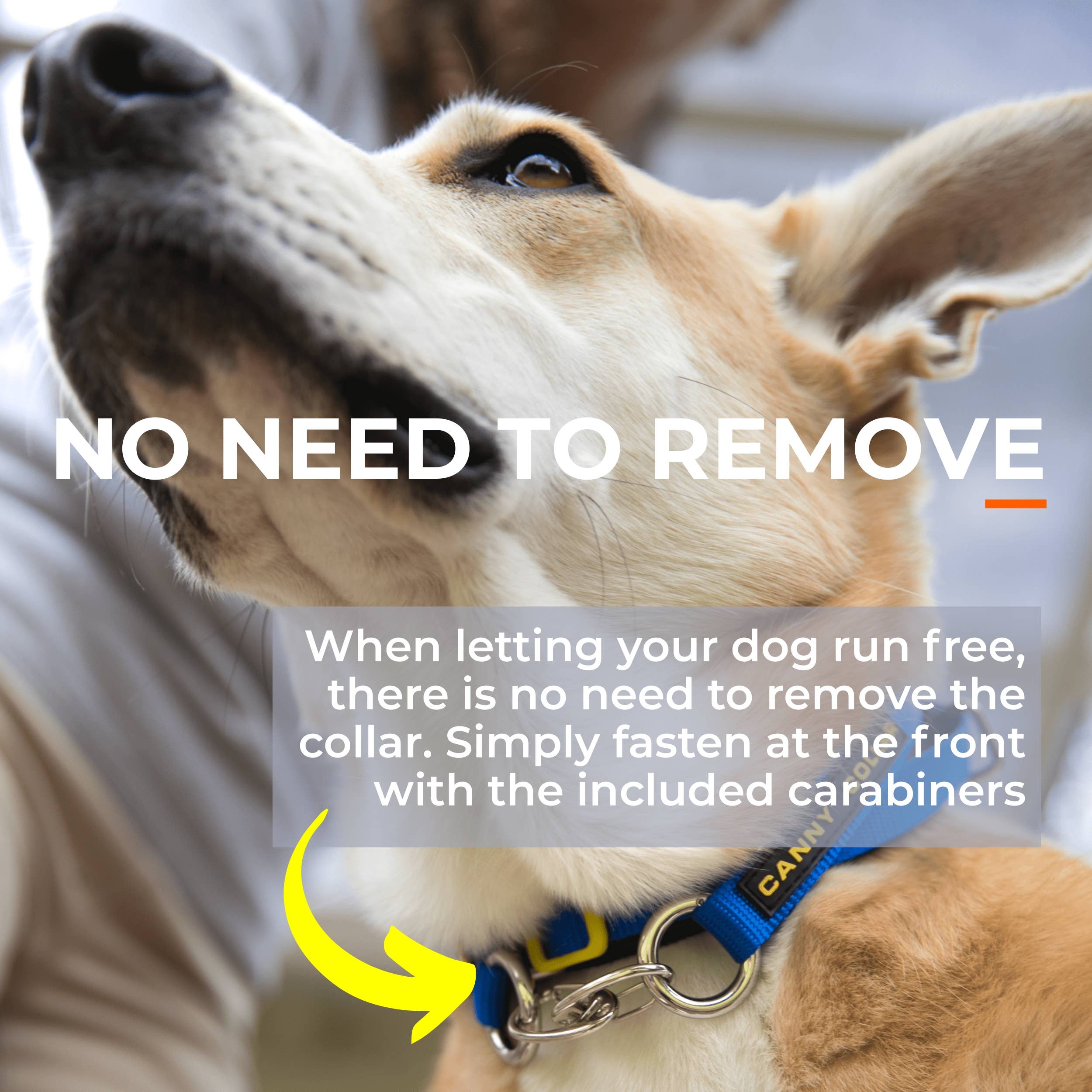 The Canny Company – wholesale Pet collar – Dog – Canny Collar No Pull Dog Headcollar | Gentle, Kind, Comfy13