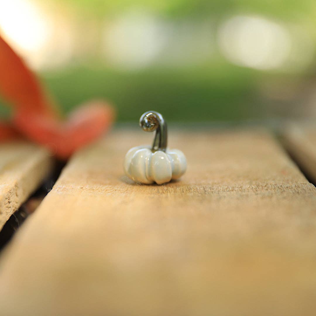 Pantless Potter – wholesale Dekorativt bordsobjekt – Små pumpor i nickelsstorlek och mindre7