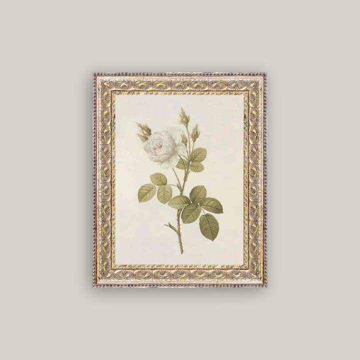 Petal Lane Home - Wholesale Art Print - Misty Rose Framed Antique Art