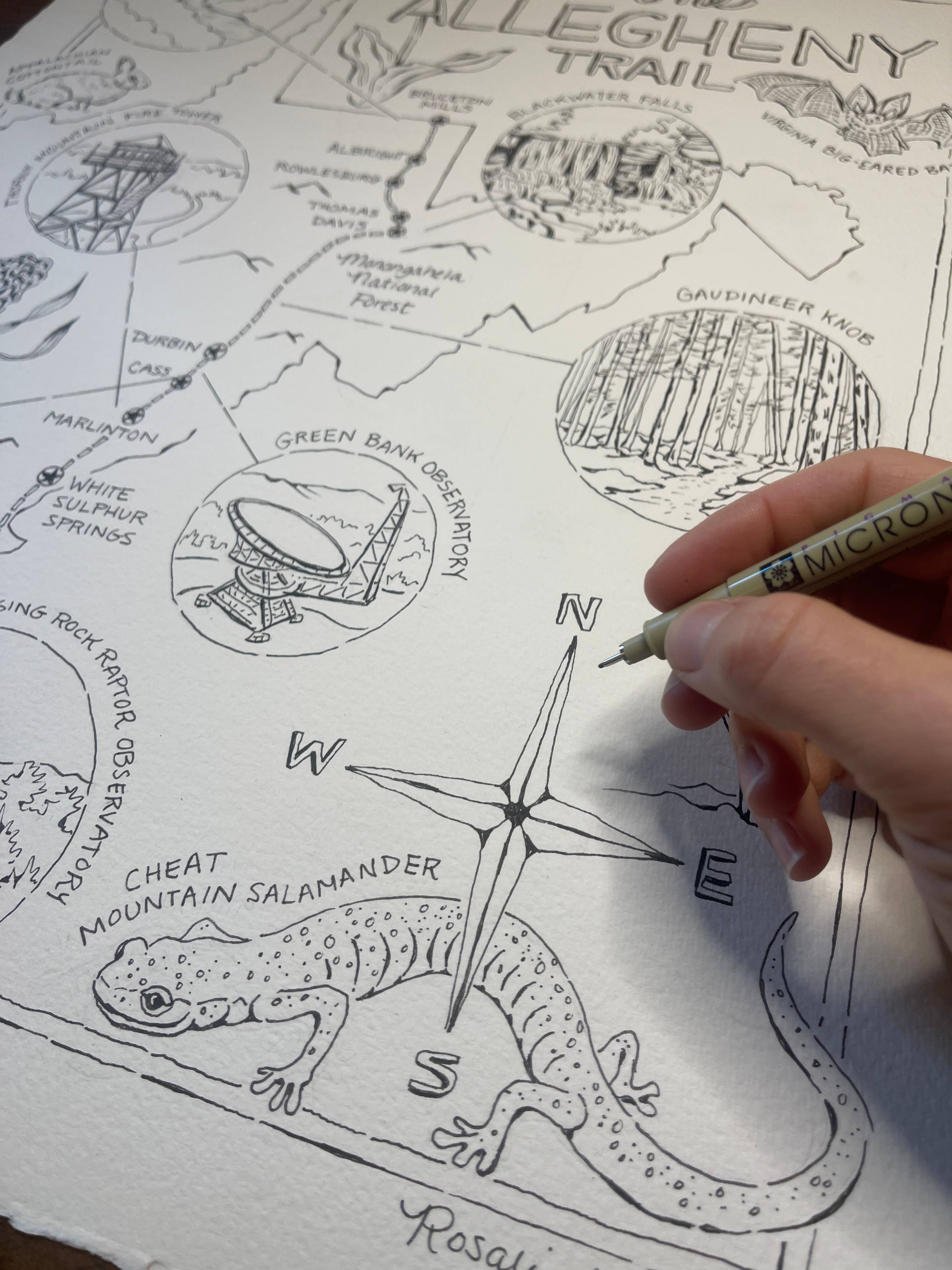 Rosalie Haizlett Illustration - Wholesale Art Print - Allegheny Trail Illustrated Map - Art Print3