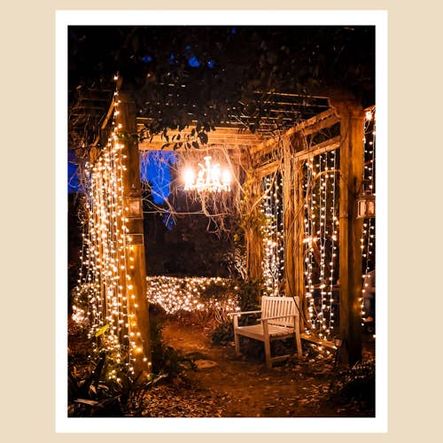 Impression d'art de Charlotte, NC (11x14) : lustre, jardin caché pour la vente par Charlotte to Paris