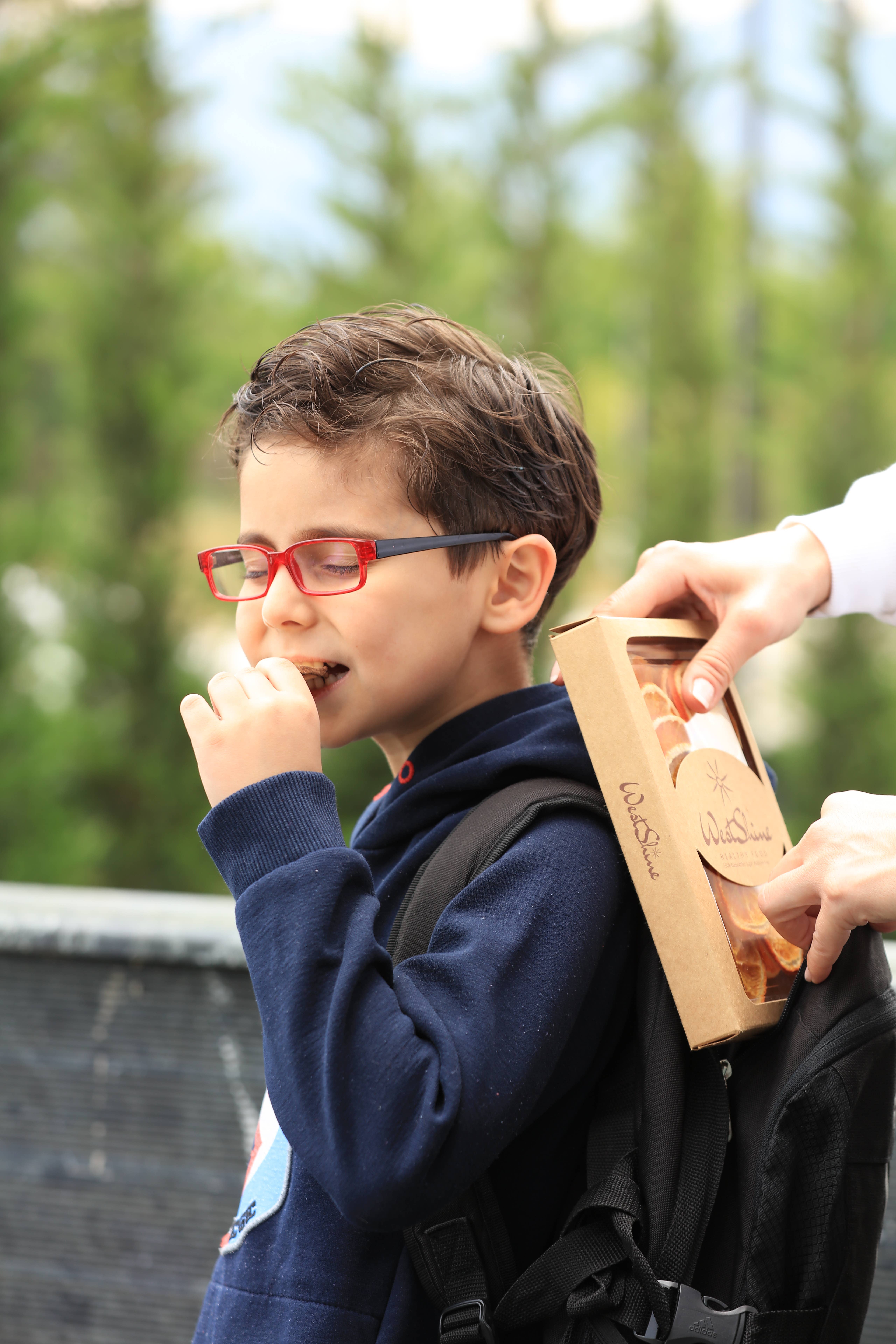 WestShine – wholesale Dried/dehydrated fruit – Organic Dried Orange Slices, Navel Orange, Pieces, Bits,20