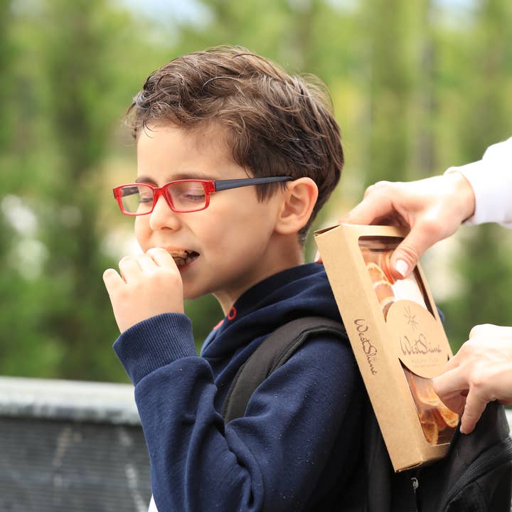 WestShine – wholesale Dried/dehydrated fruit – Organic Dried Orange Slices, Navel Orange, Pieces, Bits,20