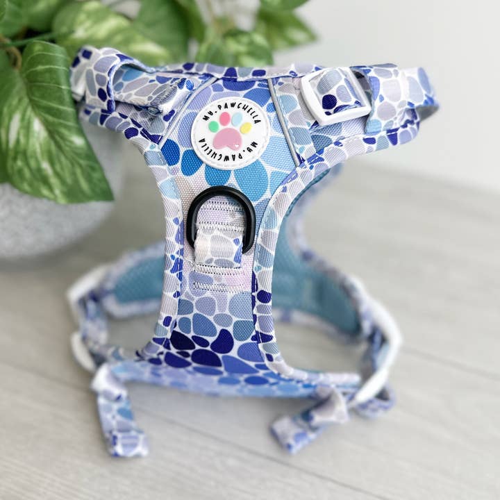 Pebble Prince pour la vente par My Pawchella