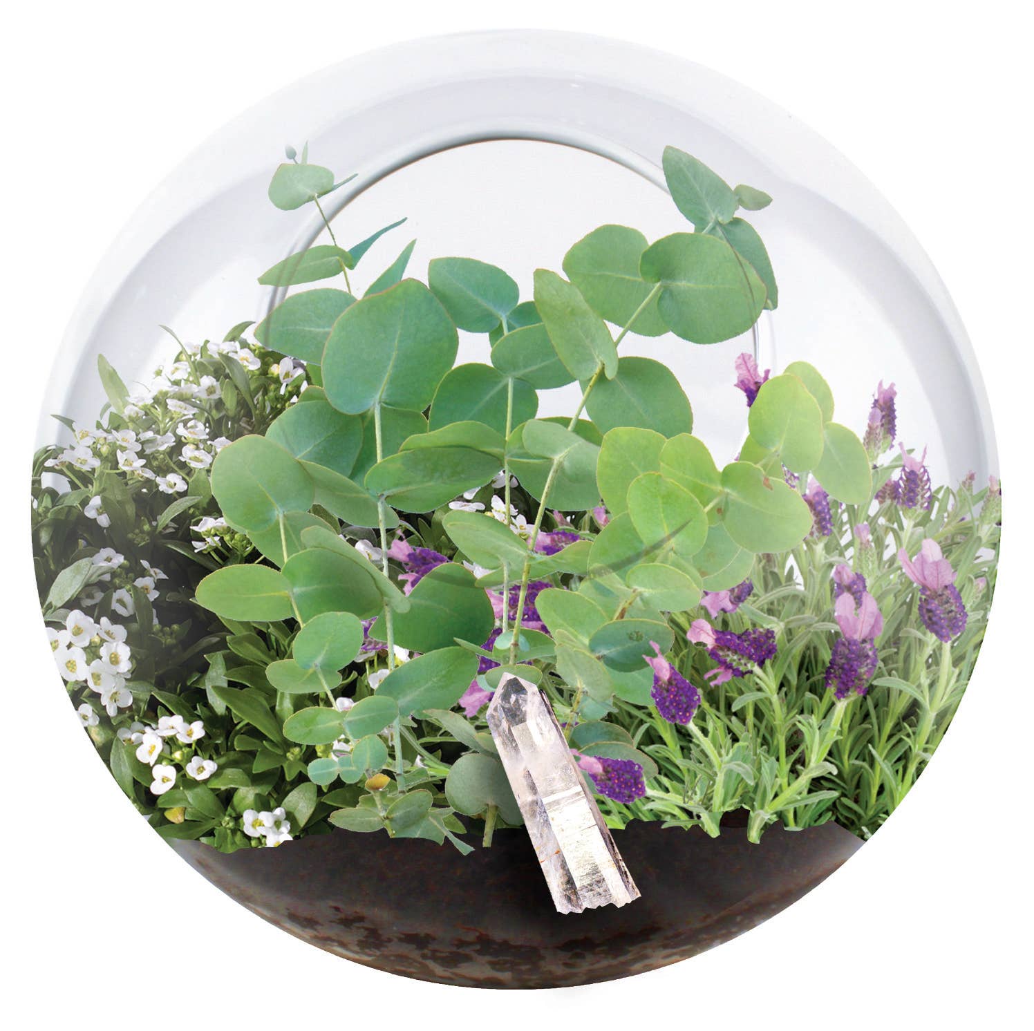 Silver Circle Products - Wholesale Terrarium - Crystal Glass Garden Glass Terrarium1