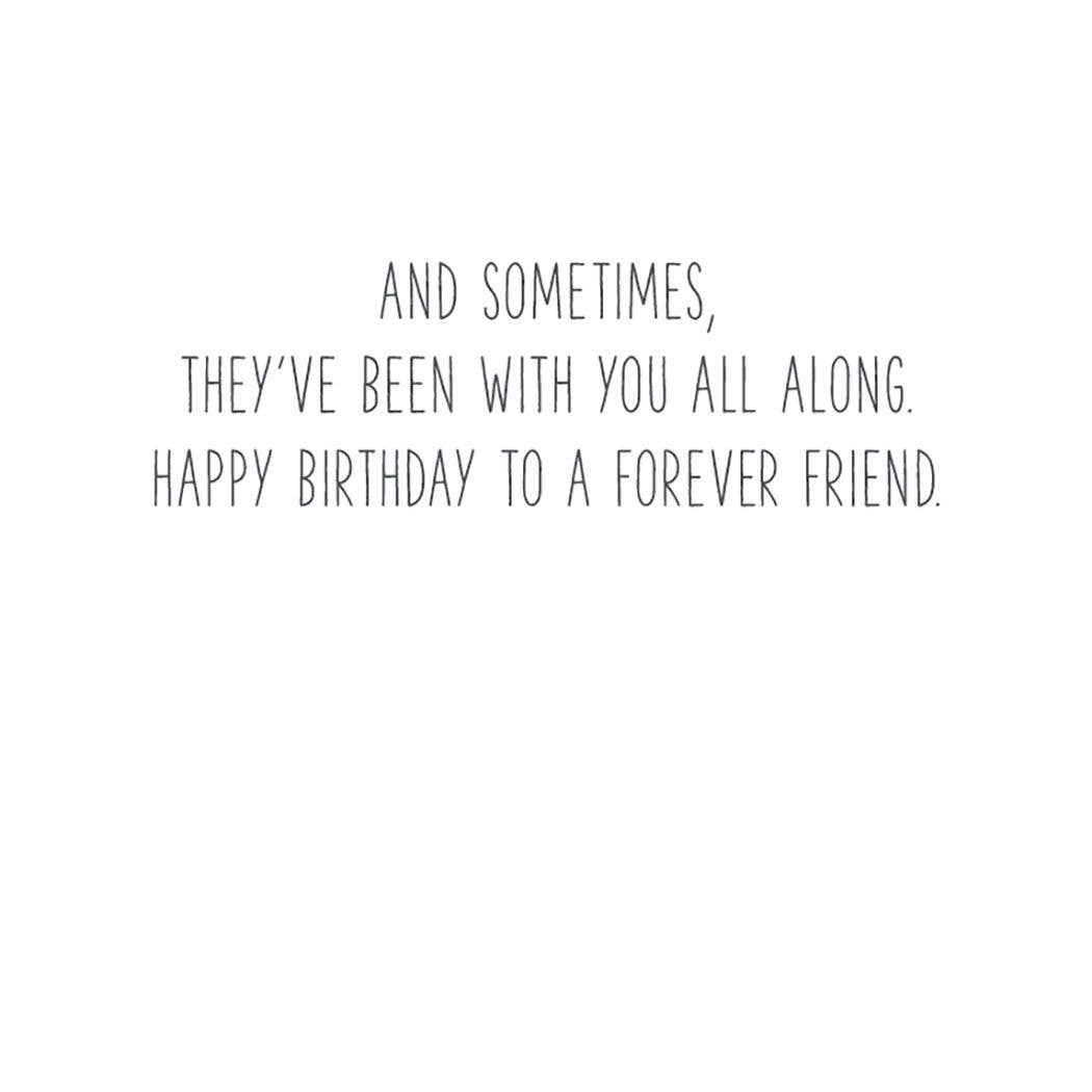 A Smyth Co - Wholesale Birthday Card - Sometimes Birthday Card1