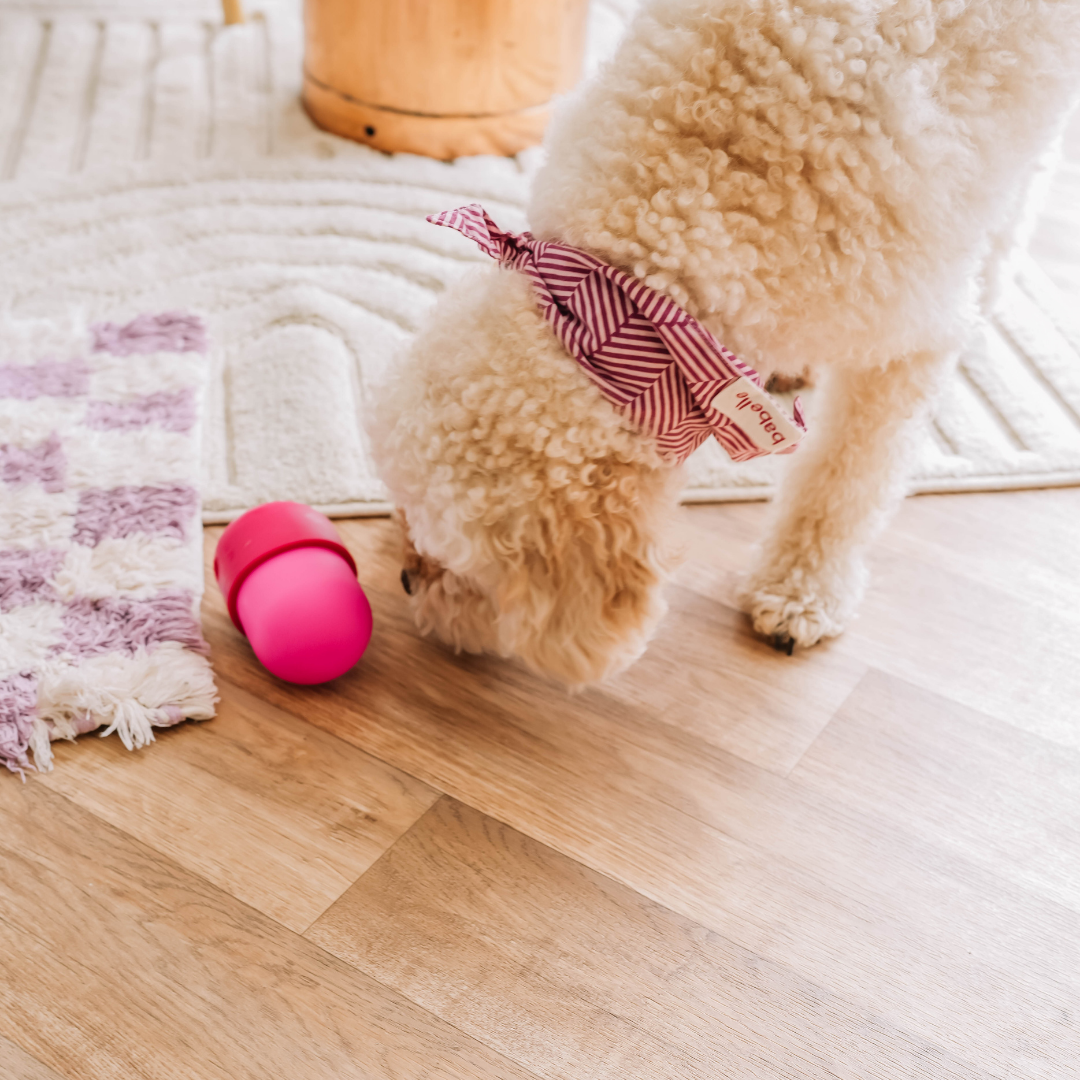 Babelle For Dogs - Wholesale Speeltje - Hond - De Fun Feeder - Snackdispenser - Lik speeltje2