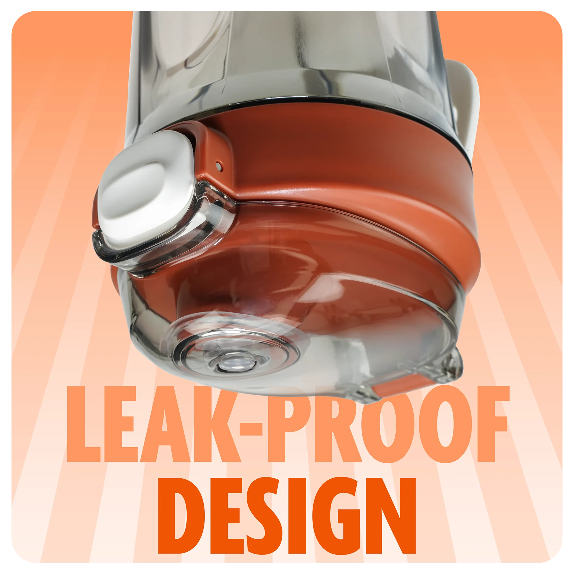 DMOOSE - Wholesale Water bottle - DMoose Workout Shaker Bottle - 750ml2