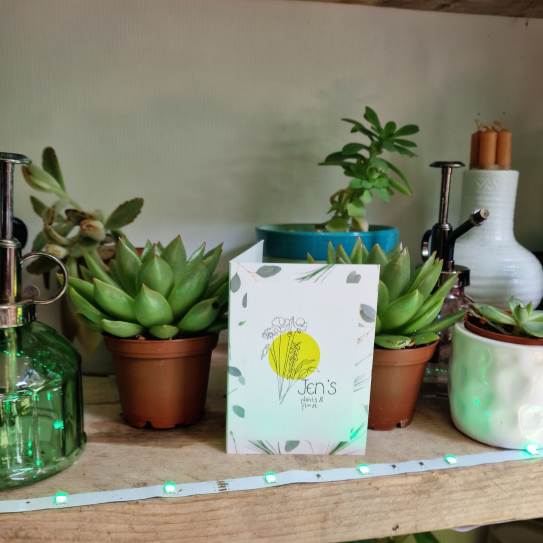 Florist Cards - Bespoke  for wholesale on Faire1