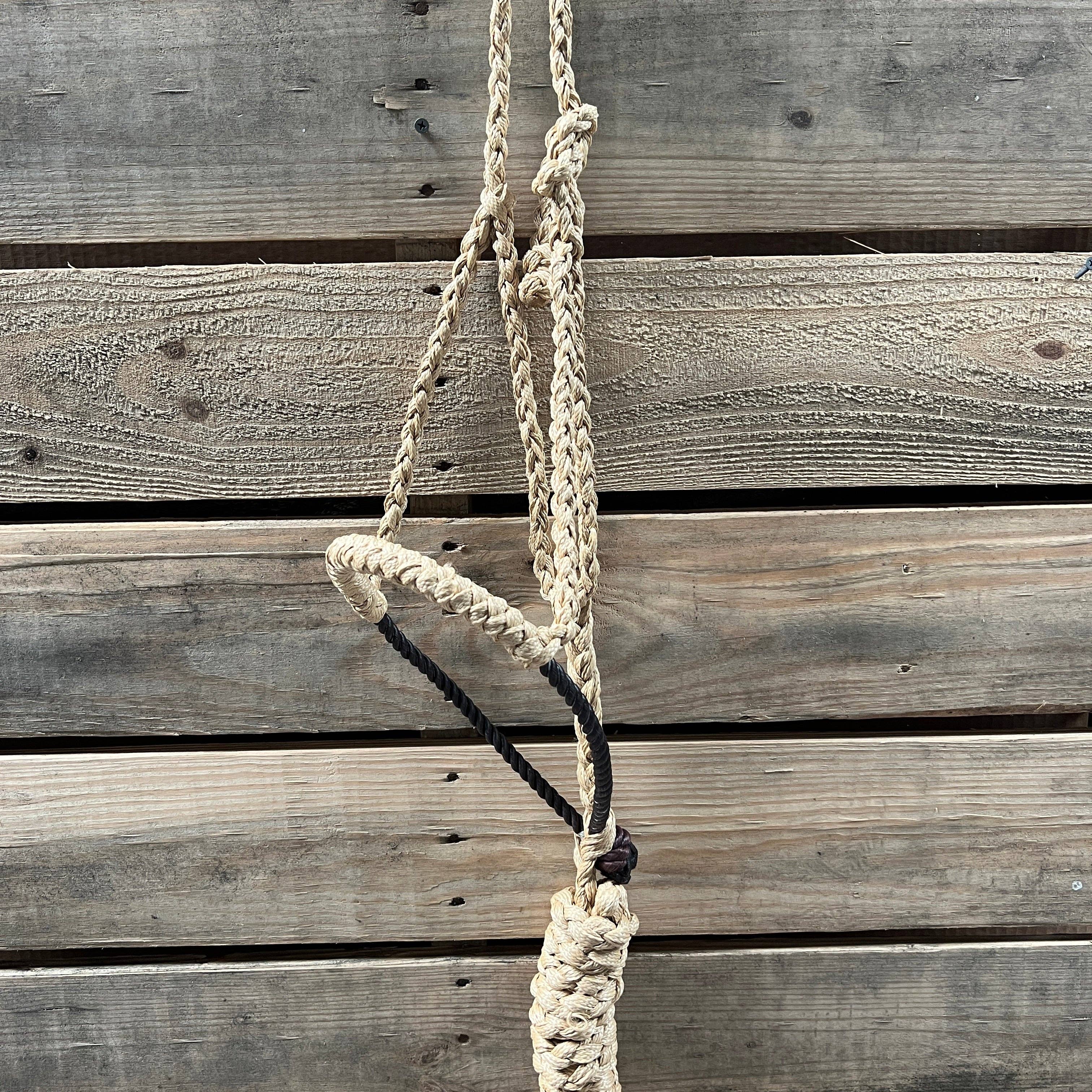 Rodeo Drive – Großhandel Reitausrüstung – Lariat Mule Tape Halfter, verschiedene Farben2