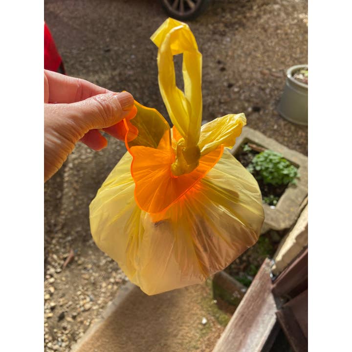 Doggie Poop bag holder, (with hole) Silicone Mould, cute poo for wholesale by EllaRaeMouldsVinyls