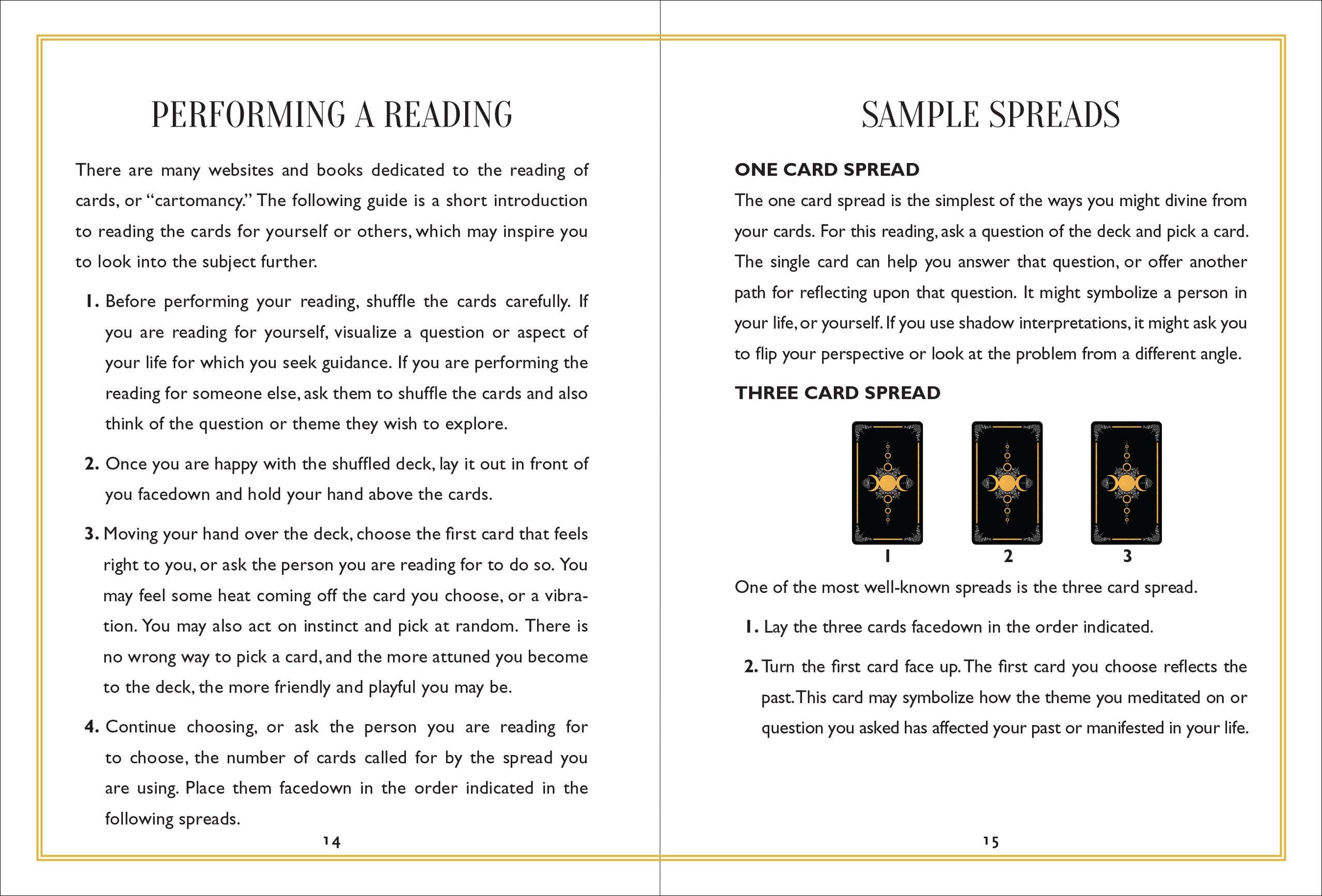 Peter Pauper Press - Vente Carte de tarot/oracles - Deck de cartes Oracle mystique sauvage8