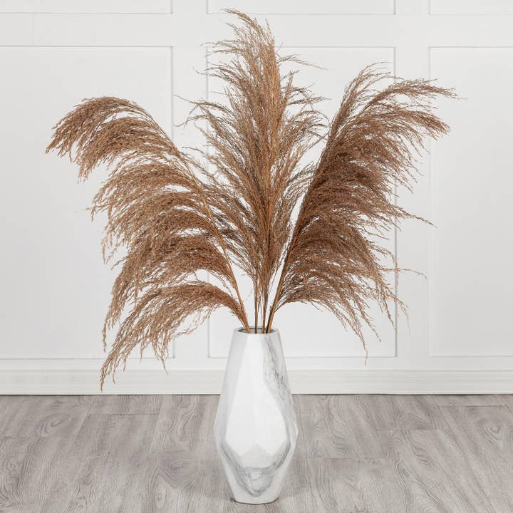 Mollie Sophia Ltd – Engroshandel Tørrede/pressede blomster – Naturligt pampasgræs 120cm tørret pampas til vase boligindretning