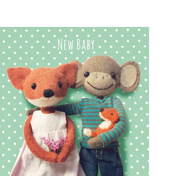 O Nosso Novo Bebé por atacado de Paper Bird Publishing