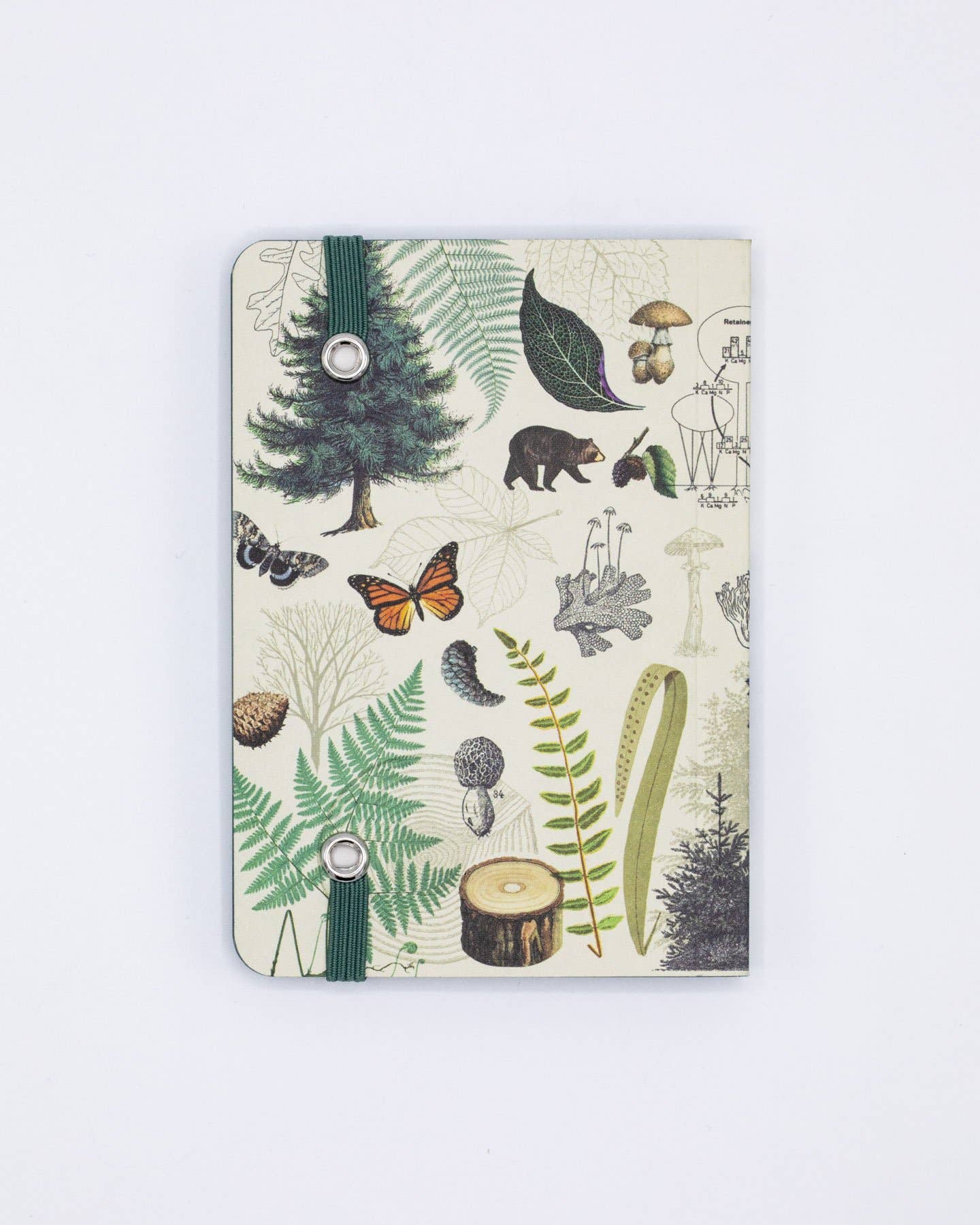 Cognitive Surplus - Wholesale Notebook - Into the Forest Observation Softcover (Case of 6)2
