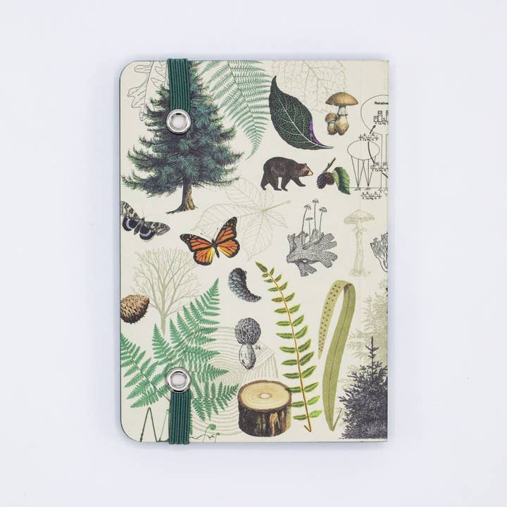 Cognitive Surplus - Wholesale Notebook - Into the Forest Observation Softcover (Case of 6)2