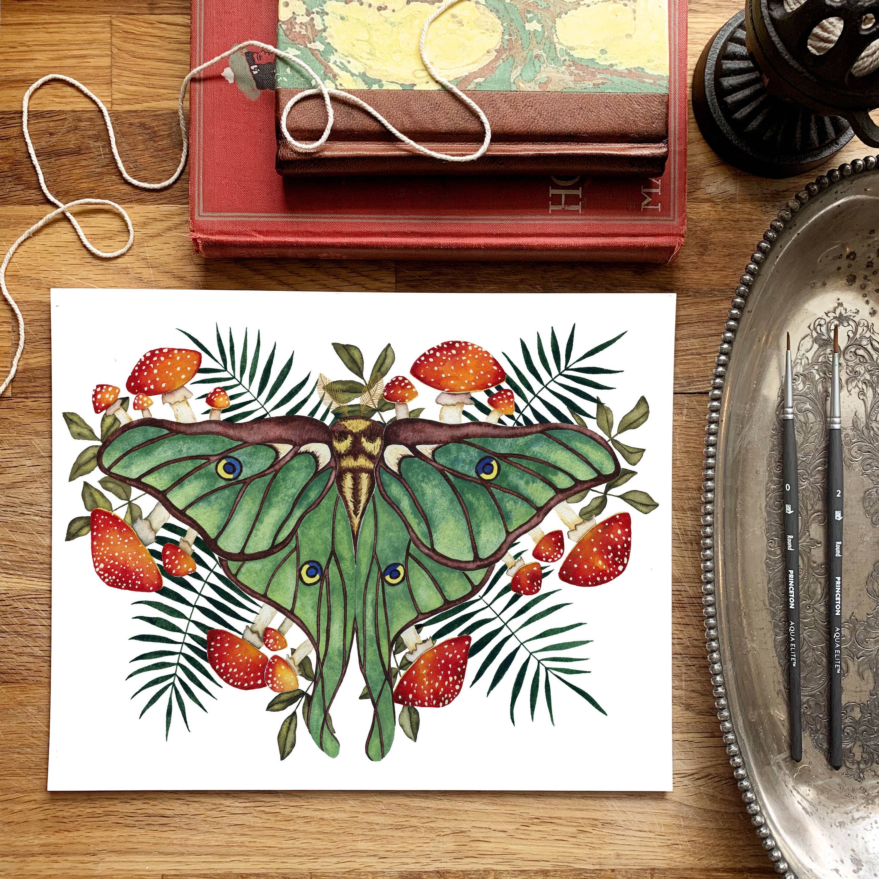 Candace Fincher – Großhandel Kunstdruck – Amanita Muscaria Magic Mushroom Kunstdruck//Luna Moth1