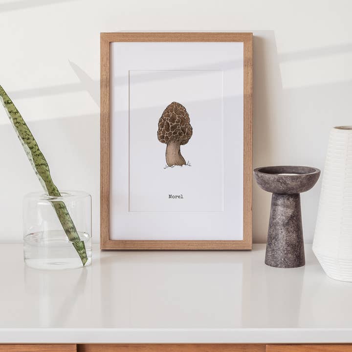 The Ugly Cat Studio - Wholesale Art Print - Morel Mushroom - Botanical Art Poster Print