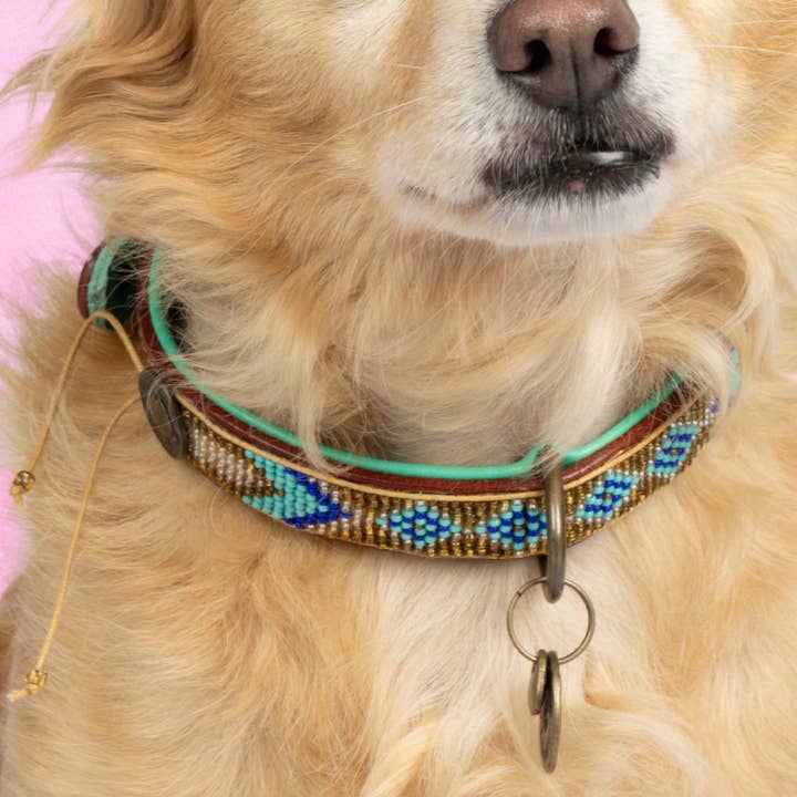 Dog with a Mission – wholesale Pet collar – Dog – Indi Moon Collar0