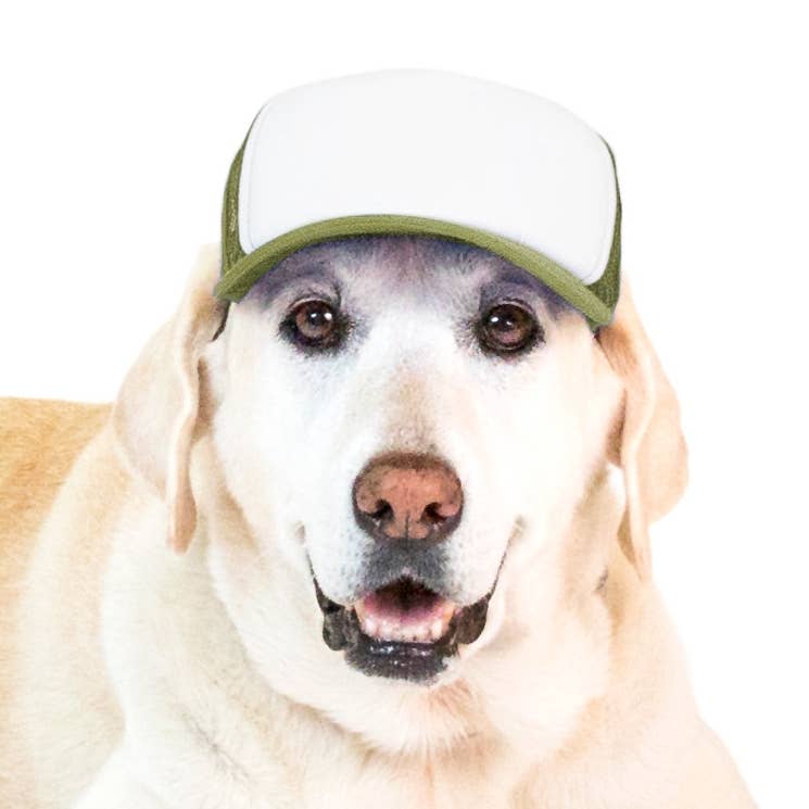PupLid – wholesale Hatt - Hund – Blank Foam truckerkeps för hundar20