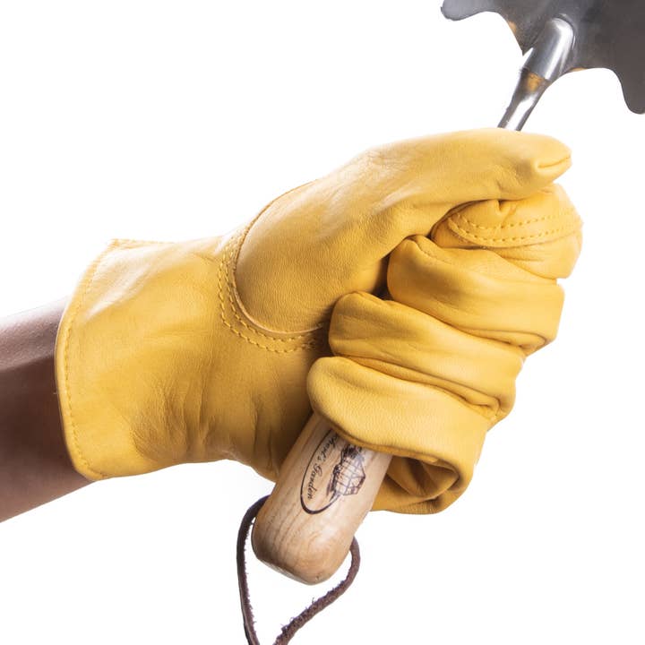 JB004 - Luxury Leather Gloves (Medium) for wholesale by Fallen Fruits Ltd