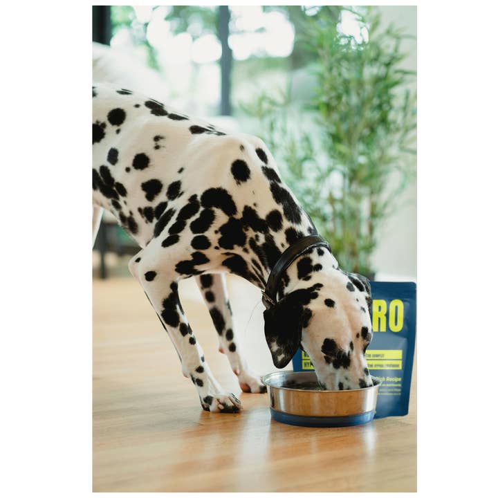 ALT-PRO Advantage - Wholesale Pet food – Dog - Nose-to-Tail Wellness: Complete & Balanced Adult Dog Food3