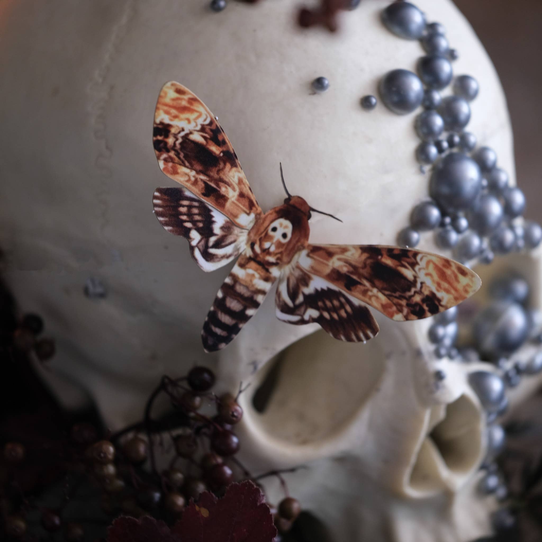 Moth and Myth - Venta al por mayor Recortables - Set de 3 piezas para polillas y hongos «Forage»5