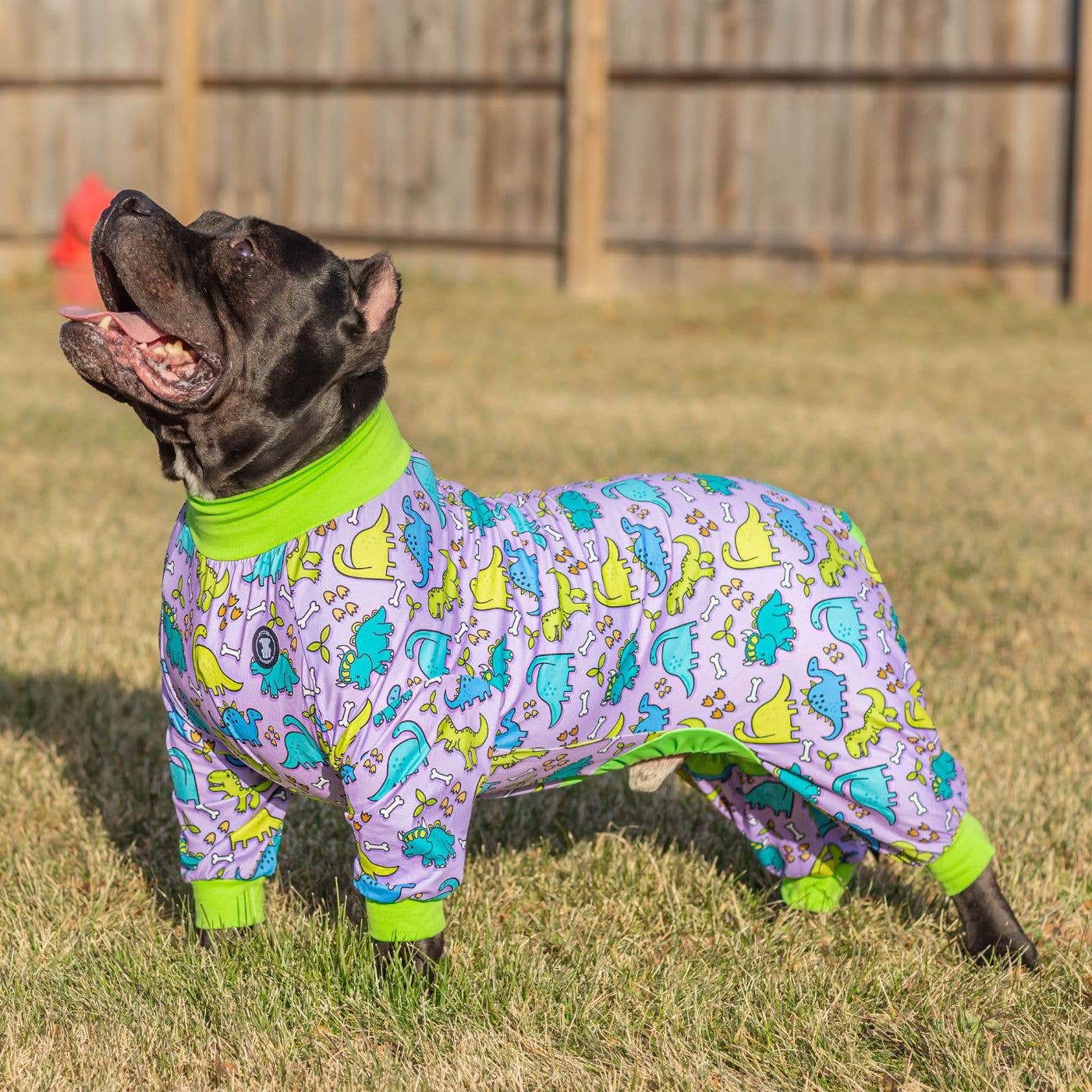 Pittie Clothing Co. - Wholesale Pet Pajamas - Dog - Purple 'Lazy Bones' Pit bull Pajamas2