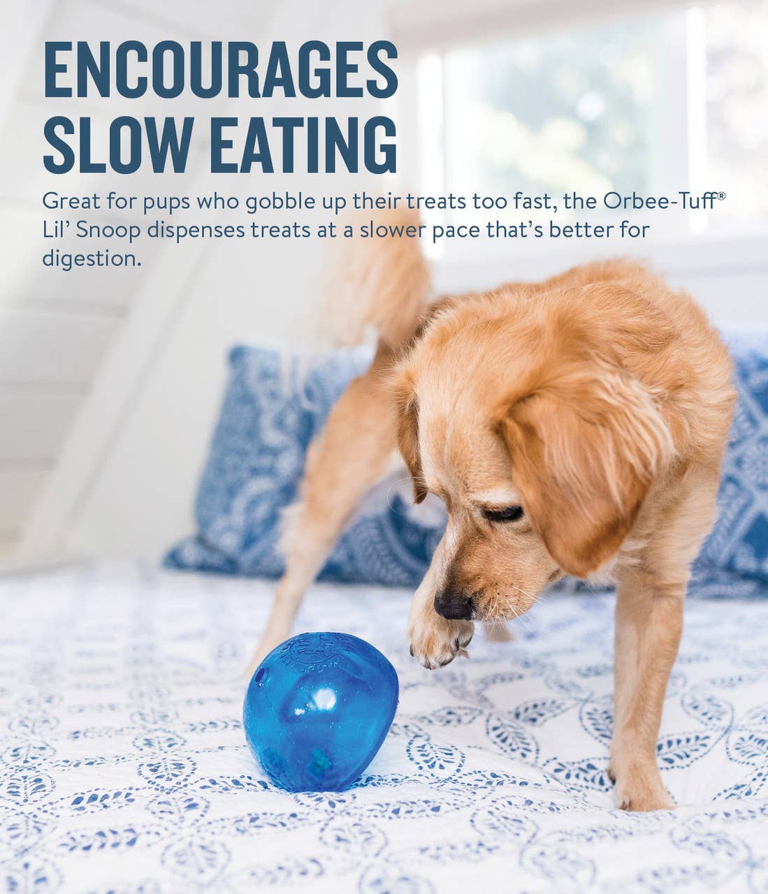 Pet Palette Distribution - Wholesale Pet Chew Toy - Dog - Planet Dog Orbee-Tuff Lil Snoop Treat-Dispensing Toy Royal3