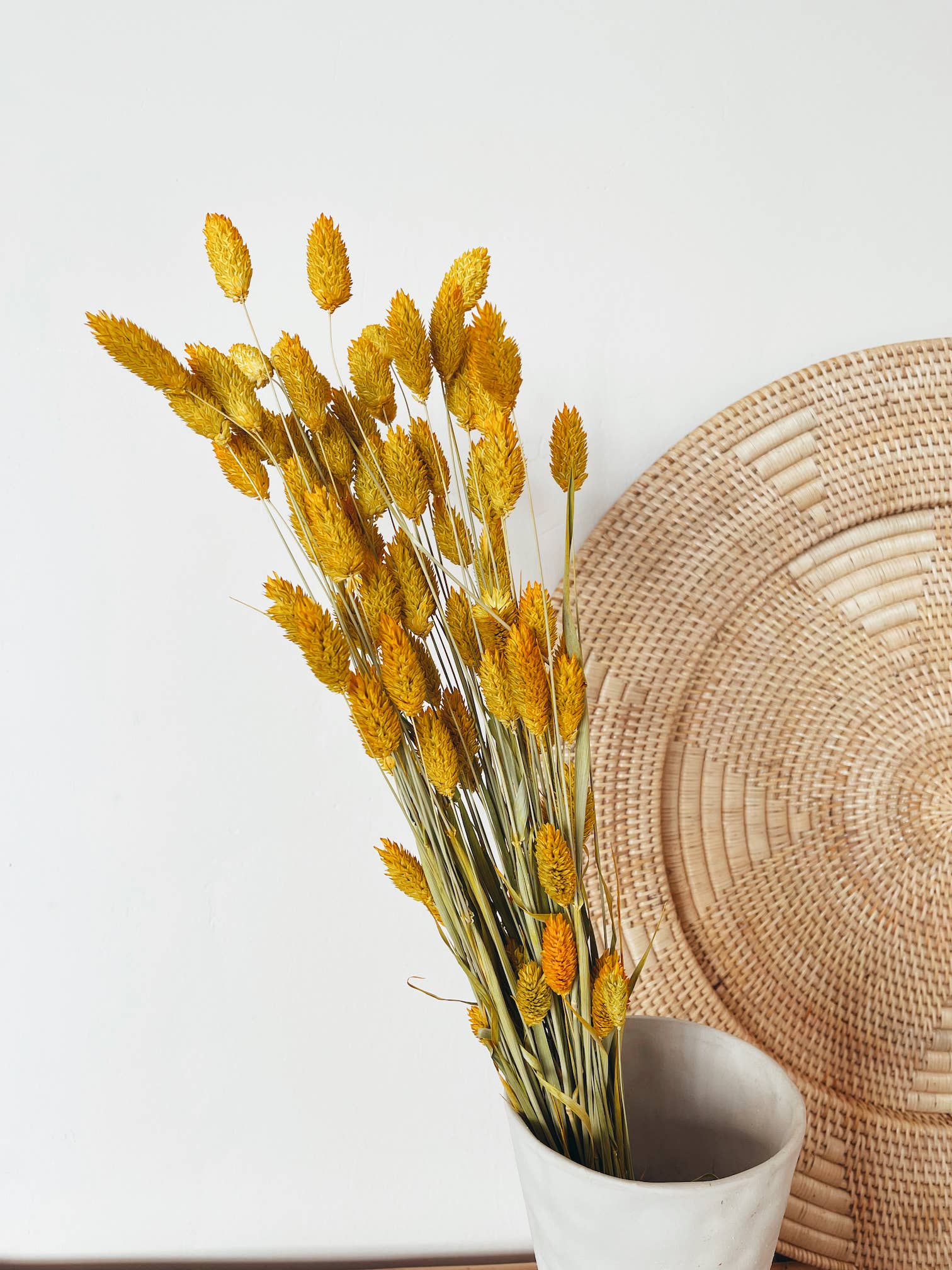 Uma Cantik - Wholesale Dried/Pressed Flowers - Phalaris Yellow Dried Flowers2