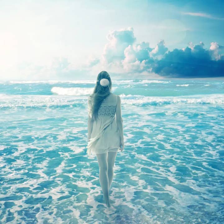 Moodcast Fragrance Co. - Vendita all'ingrosso Diffusori a lamella - Diffusore a Bastoncini - Persona - Sognatore - Barattolo di Vetro da 3,4 oz1