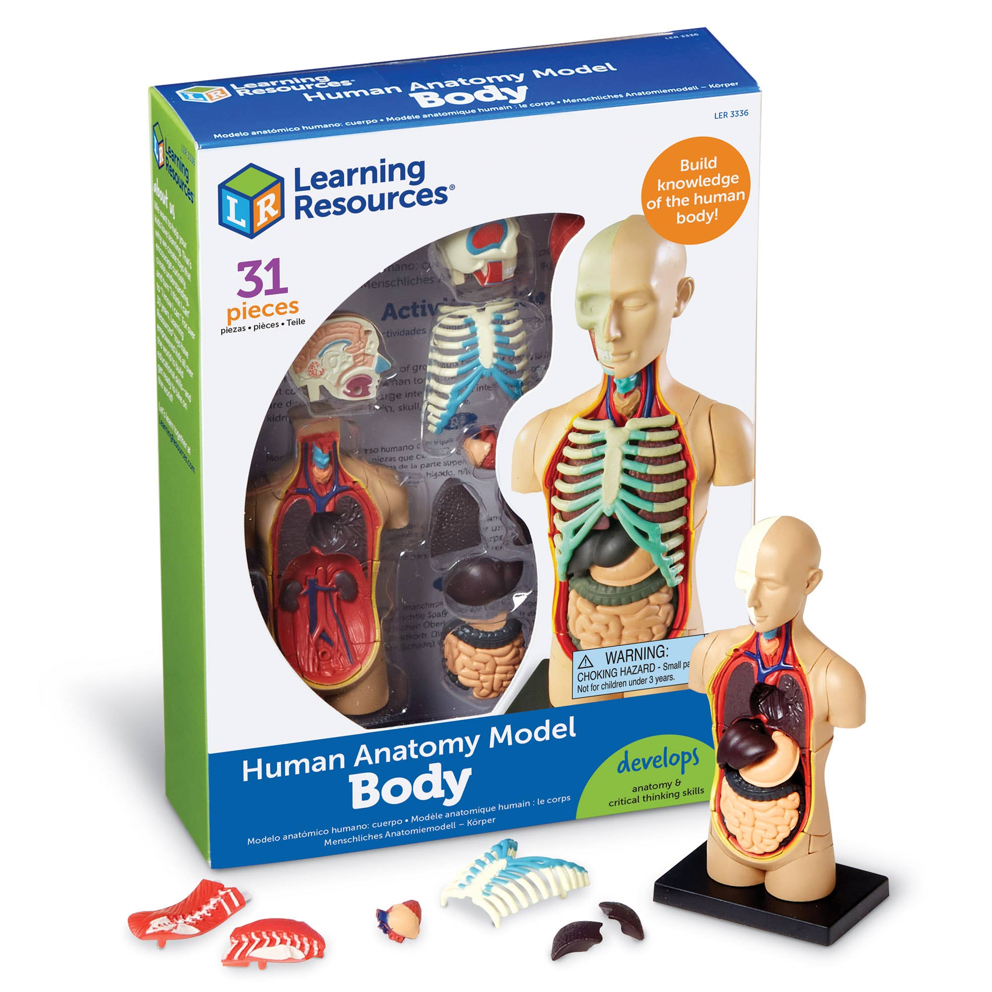 Learning Resources - Wholesale Toy Set - Kids - Human Body Anatomy Model2