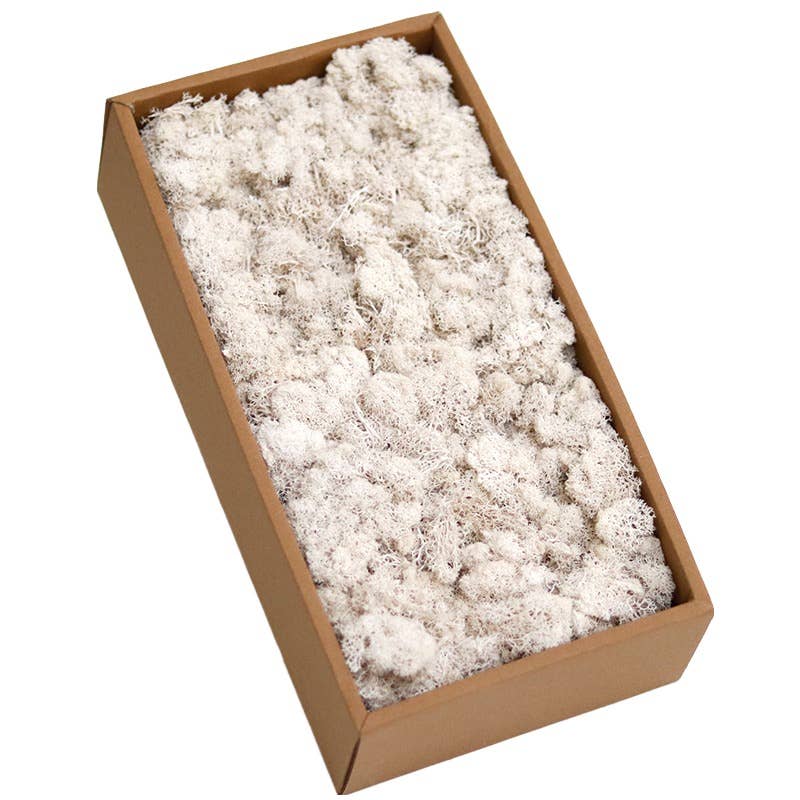 Floral Fields – wholesale Dried/pressed flowers – Preserved Moss for Crafting, 500g6