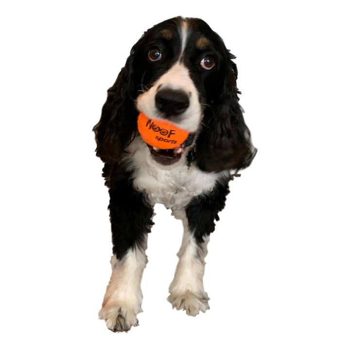 Woof Sports - Wholesale Pet Fetch Ball - Dog - Dog Tennis Balls (12 Balls per Bag)4