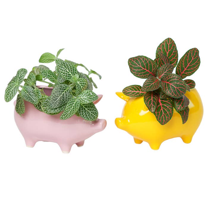 Chive - Wholesale Plant Pot - Animal Planter For Succulents Unique Plant Accessories1