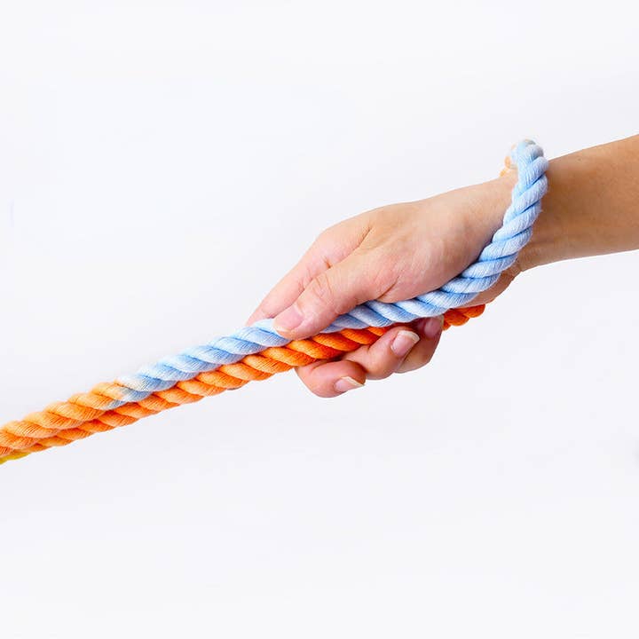 Cheerhunting - Wholesale Pet leash – Dog - Loofie Handfree Dog Leash - Rainbow Color for Fun & Convenience4