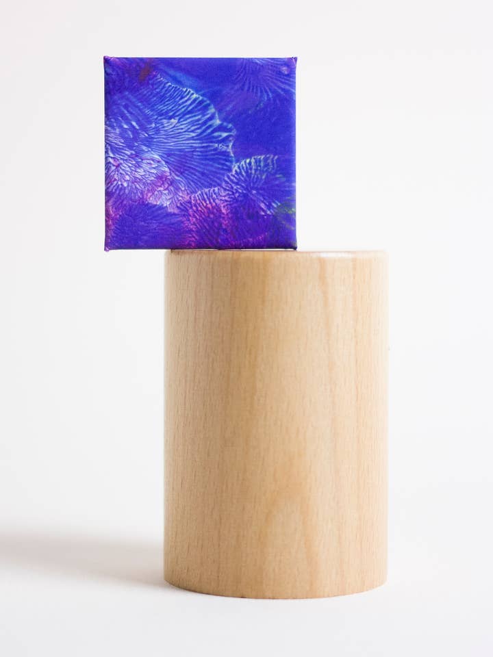 Broche magnético Coral para venta al por mayor de Yukka