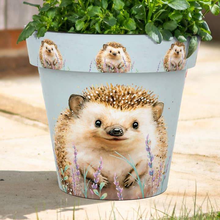 Vaso Zest, 22 cm, motivo: riccio per la vendita all'ingrosso da parte di CREEKWOOD GARDEN AND GIFT LTD