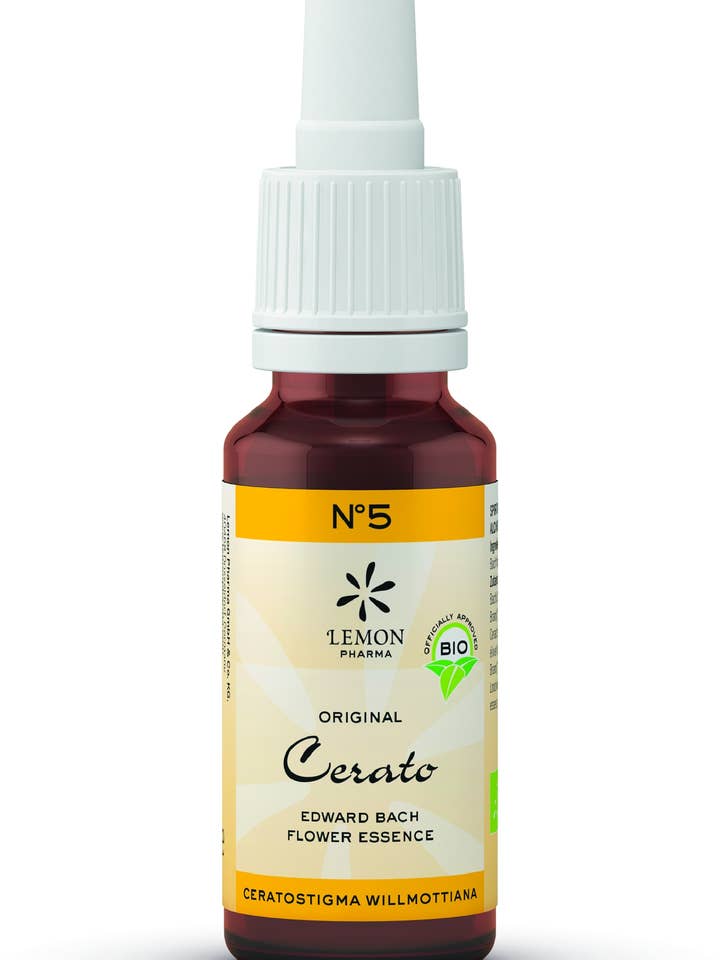Nº 5 Cerato – Ceratostigma para venta al por mayor de Lemonpharma-Spain