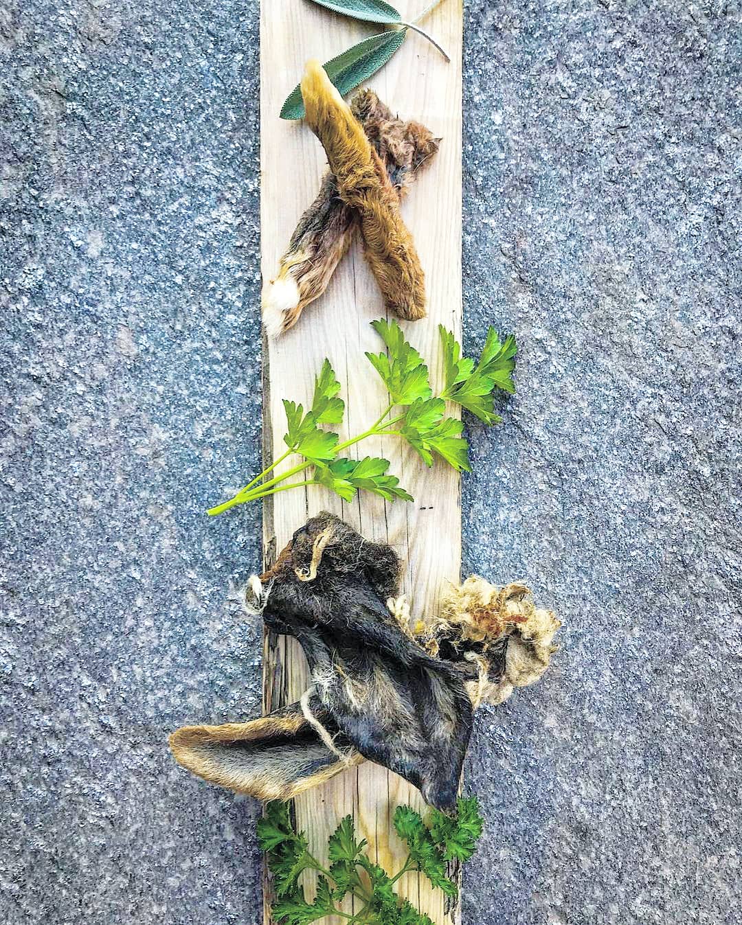 Naked Beasts, Inc. - Wholesale Pet Treats - Dog - Rabbit Feet8