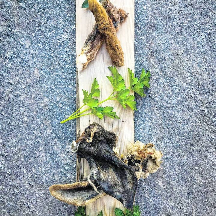 Naked Beasts, Inc. - Wholesale Pet Treats - Dog - Rabbit Feet8