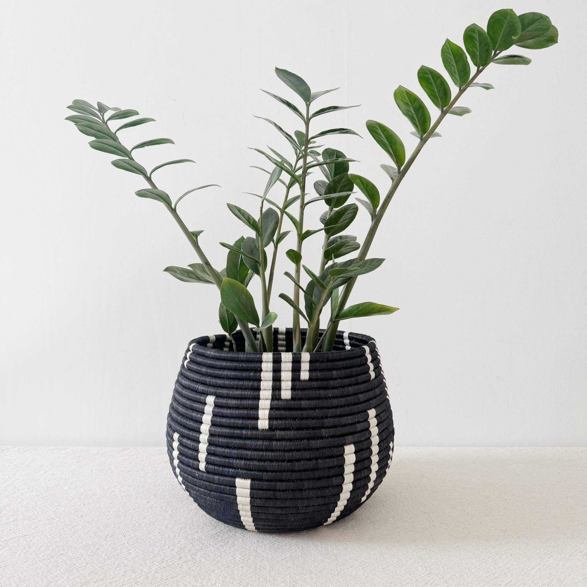 Amsha - Wholesale Plant Pot - Honey Pot Basket: Mugano6