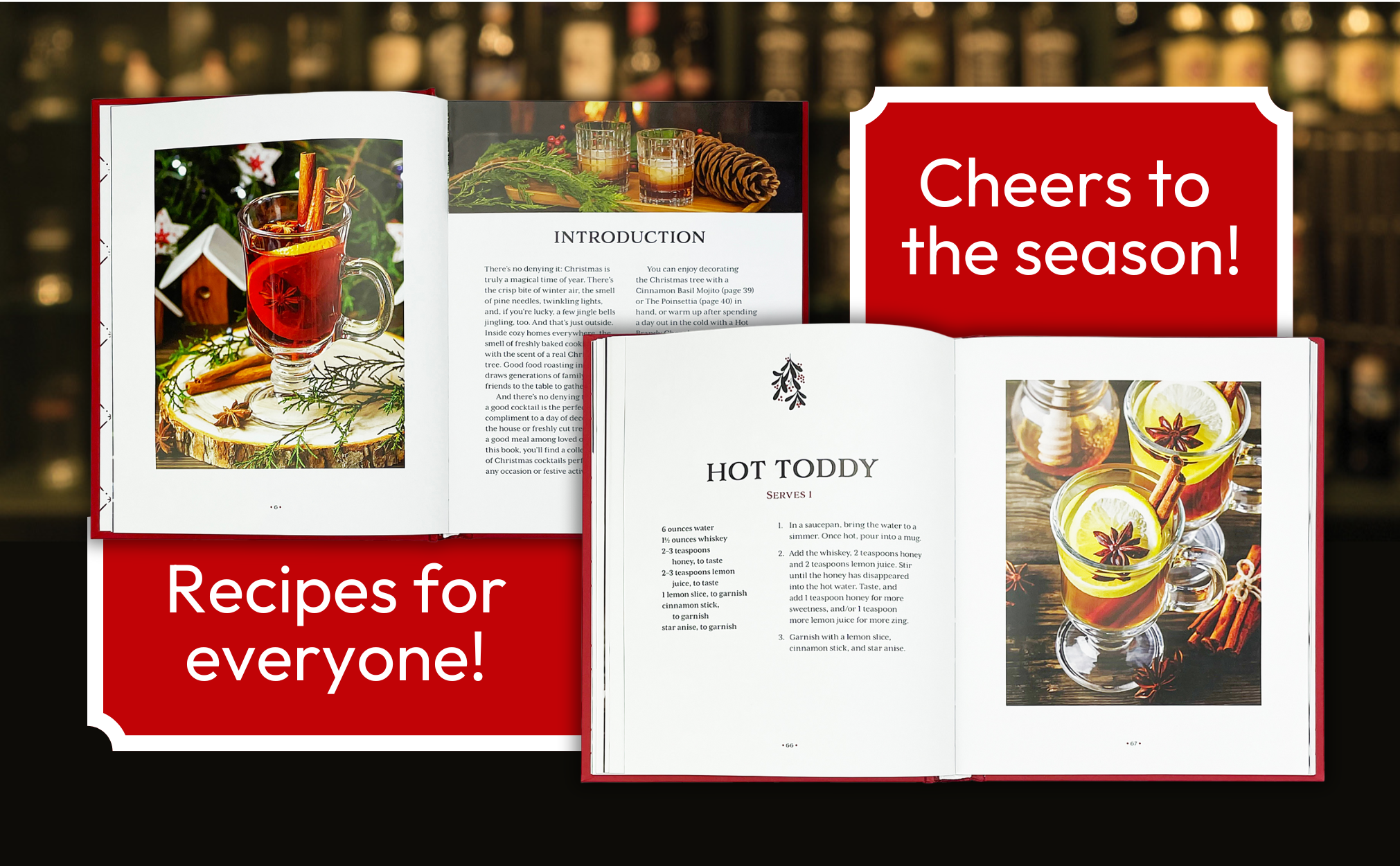 Cottage Door Press - Wholesale Mixology & Beverage - Art of Mixology:Making Spirits Bright Christmas Cocktails3